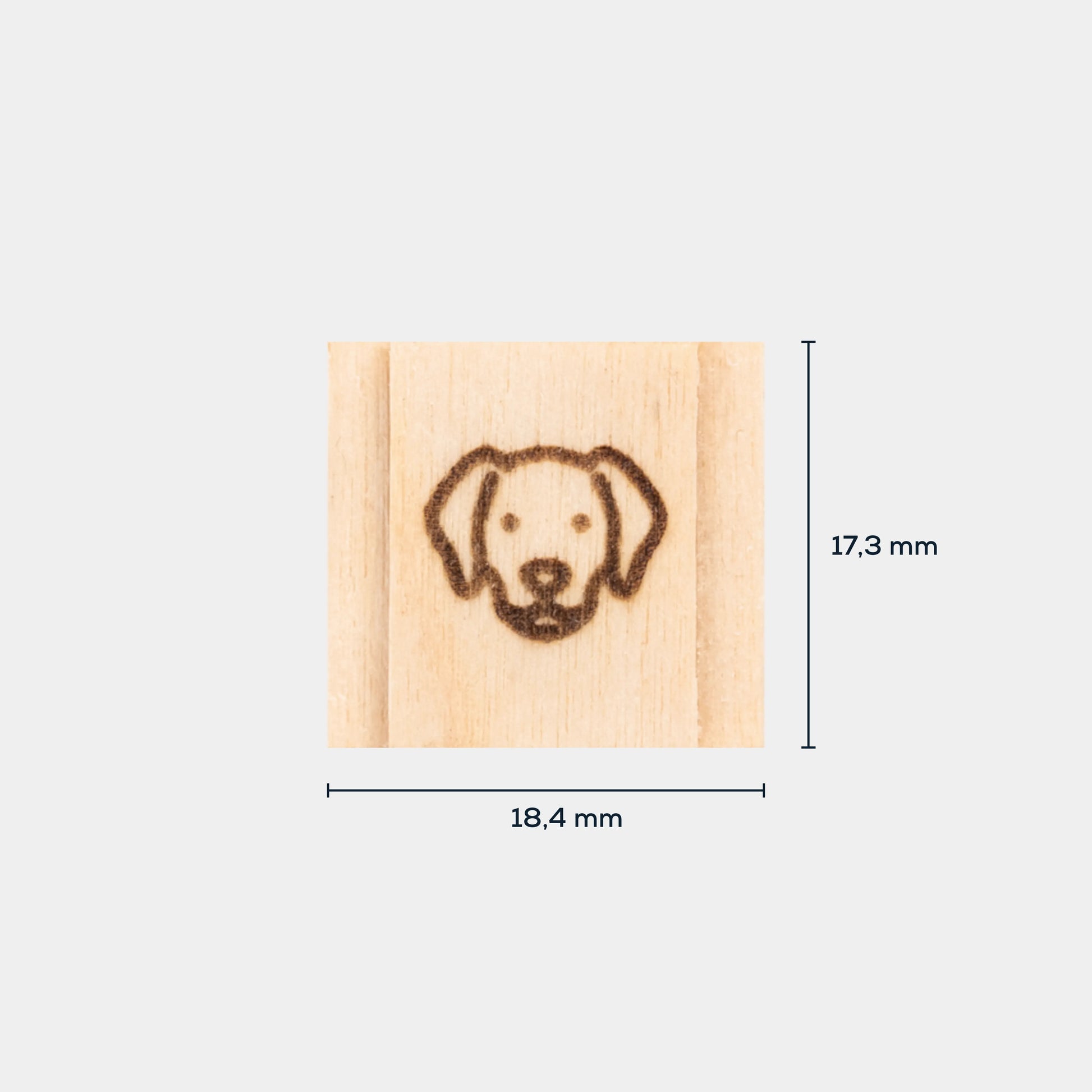 Holz Blitzschuhabdeckung 1er Set mit Lasergravur - Nordkit